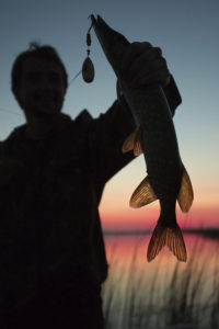 catch fish customers 